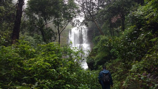 IMG_20170715_125536744