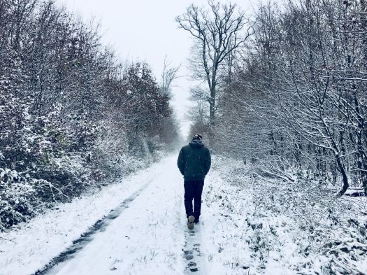 Darmbachaue von Darmstadt